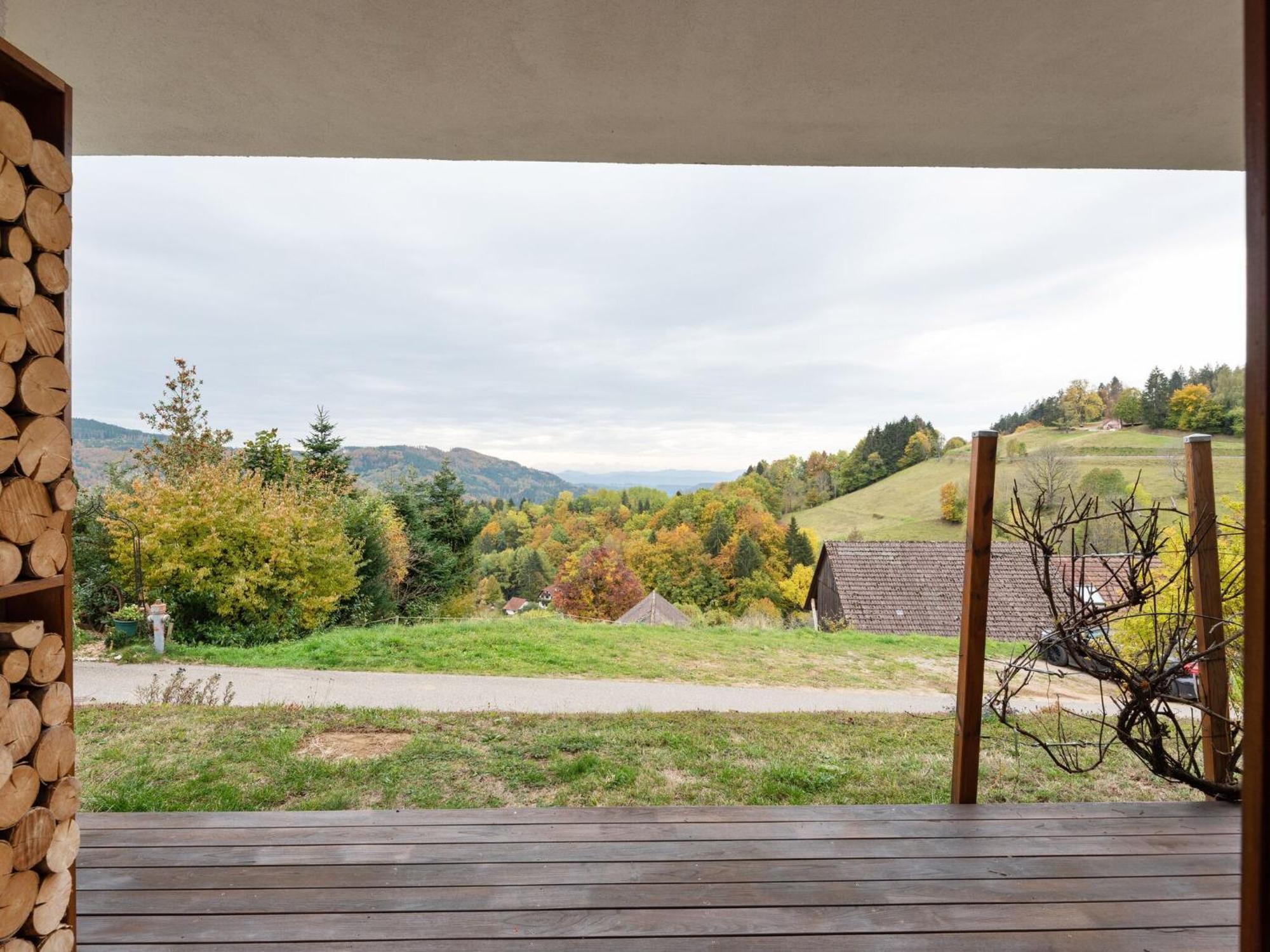 Kleines Wiesental Apartment On The Edge Of The Forest מראה חיצוני תמונה